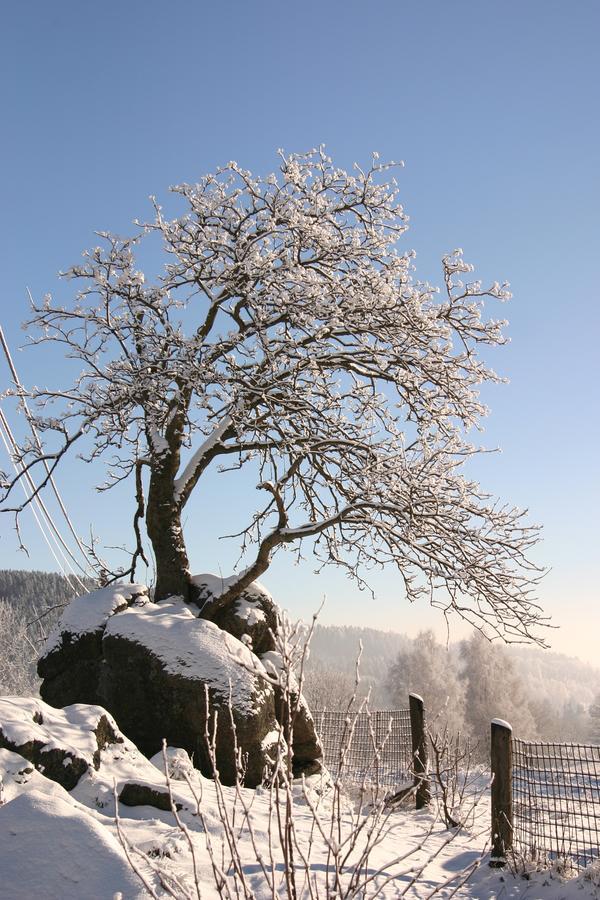 Jeleni chata Skladanka Lucany nad Nisou Bagian luar foto