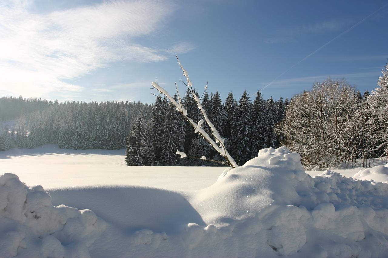 Jeleni chata Skladanka Lucany nad Nisou Bagian luar foto
